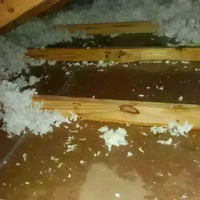 Attic Water Damage in Hampton, AR