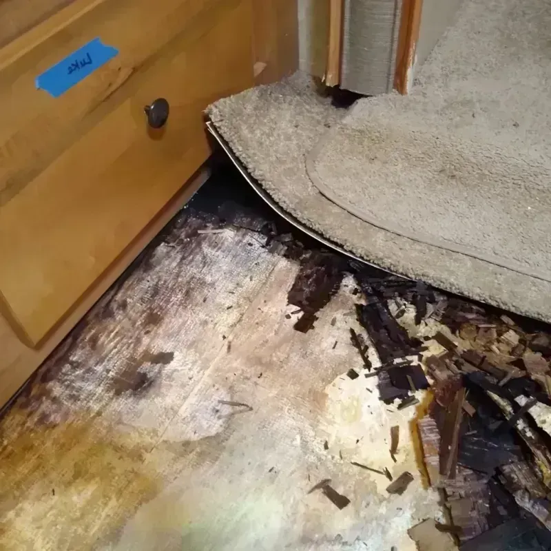 Wood Floor Water Damage in Hampton, AR